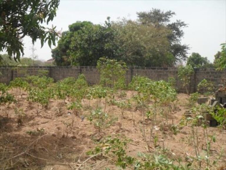 Land For Sale In Gambia Property Shop No.1 In Real Estate