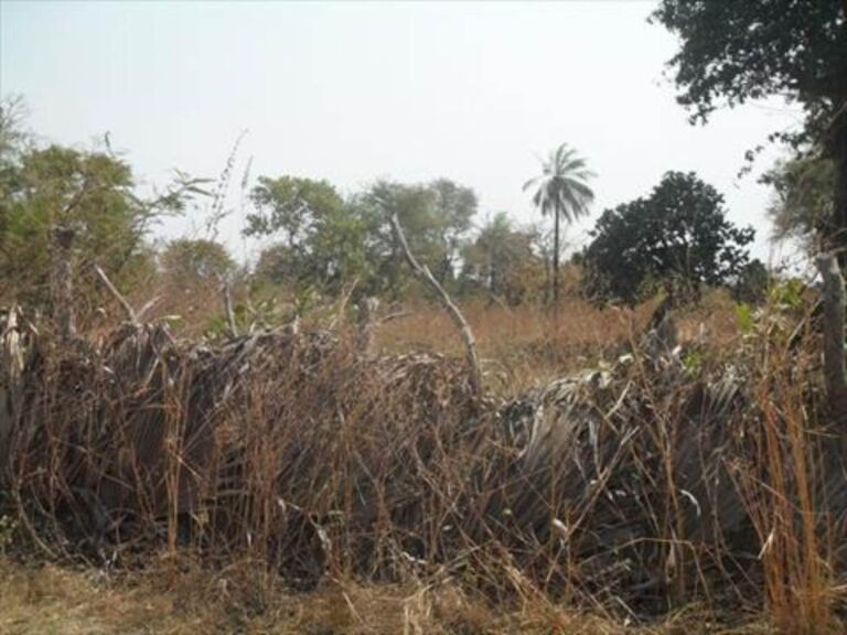 Land For Sale In Gambia Property Shop No.1 In Real Estate