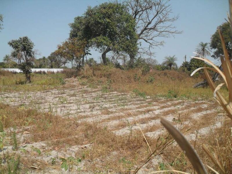Land For Sale In Gambia Property Shop No.1 In Real Estate