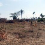plot of land for sale sanyang a