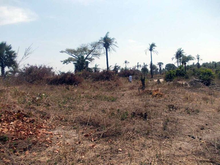 Land For Sale In Gambia Property Shop No.1 In Real Estate
