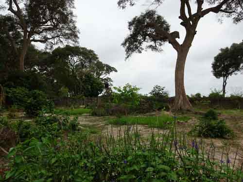 Land for Sale in Gambia by Property-Shop