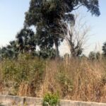 Land For Sale Sanyang UV09 9