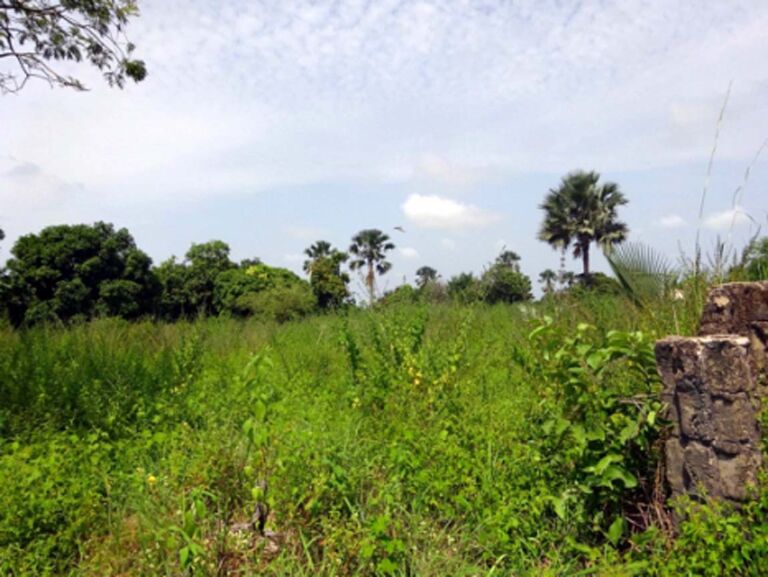 Land For Sale In Gambia Property Shop No.1 In Real Estate