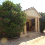 DSC01404